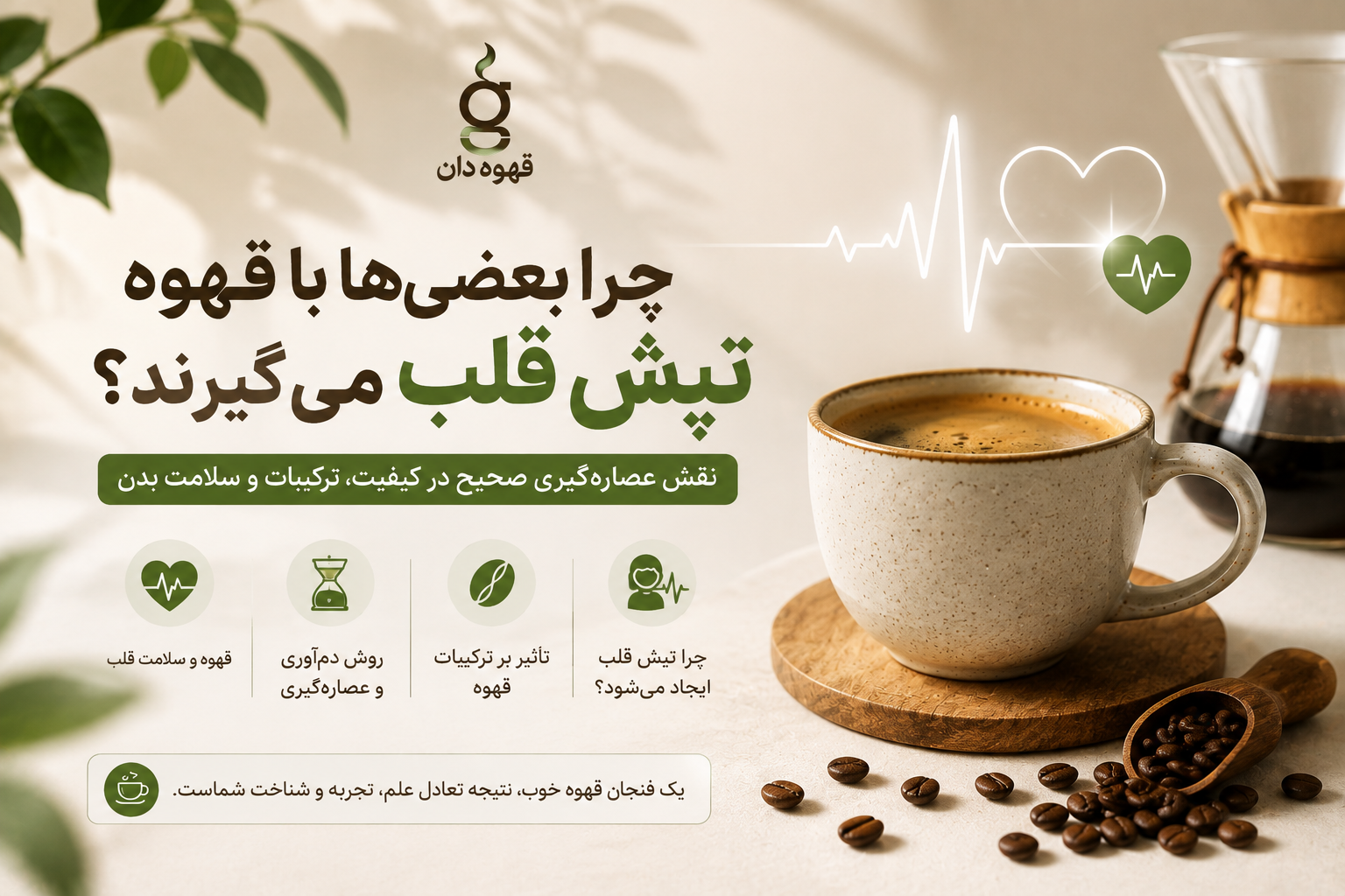 چرا بعضی‌ها با قهوه تپش قلب می‌گیرند؟ نقش عصاره‌گیری صحیح قهوه چیست؟